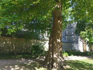 Charity Donation from 3PB 