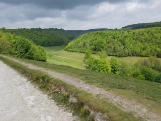 Graham Hayes' 60km Walk