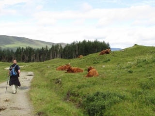 Dora & Kenny's West Highland Way Challenge