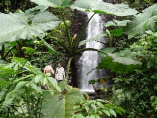 Bruce & Tom Woollard - Costa Rica Trek