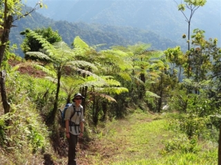 Bruce & Tom Woollard - Costa Rica Trek